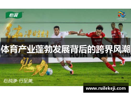 体育产业蓬勃发展背后的跨界风潮